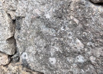 Foto 32 - Appartamento Via Flavio Gioia
 
24, Finale Ligure - foto 32