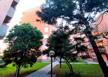 Giardino - Quadrilocale viale Lombardia, 246, Monza - foto 30