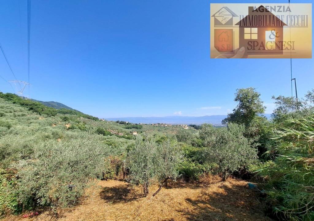 Terreno - Rustico via di Buriano, Quarrata - foto 2