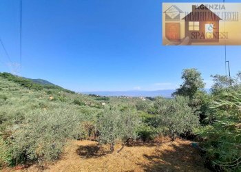 Terreno - Rustico via di Buriano, Quarrata - foto 2