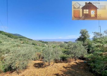 Terreno - Rustico via di Buriano, Quarrata - foto 5