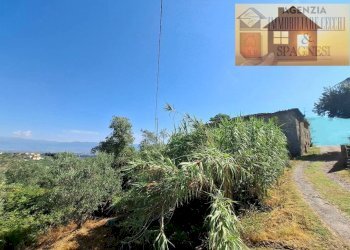 Terreno - Rustico via di Buriano, Quarrata - foto 6