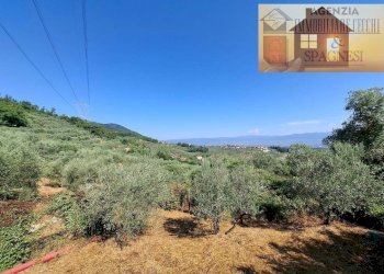 Terreno - Rustico via di Buriano, Quarrata - foto 8