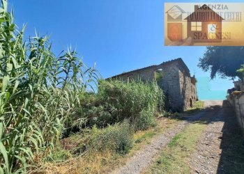 Terreno - Rustico via di Buriano, Quarrata - foto 9