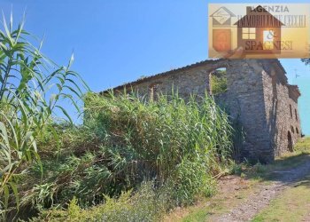 Terreno - Rustico via di Buriano, Quarrata - foto 10