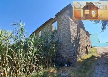 Terreno - Rustico via di Buriano, Quarrata - foto 12