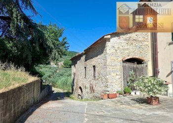 Giardino - Rustico via di Buriano, Quarrata - foto 24