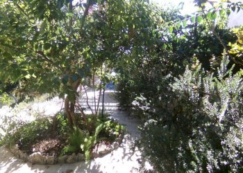 Giardino - Villa piazza Piccola Capri, Ardea - foto 11