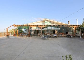Zona - Restaurant via Bolognesi, Cesena - photo 2