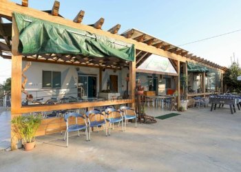 Zona - Restaurant via Bolognesi, Cesena - photo 4