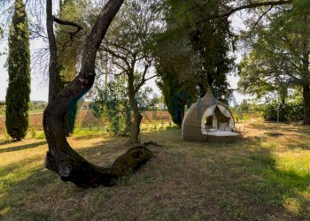 Terreno - Villa via del Tesoro, Forlì - foto 30