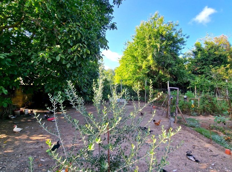 Appartamento Carinola - foto 2