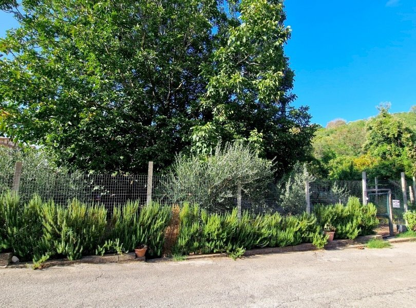 Appartamento Carinola - foto 3