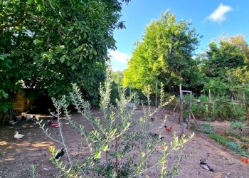 Appartamento Carinola - foto 2