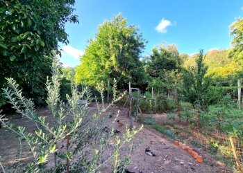 Appartamento Carinola - foto 18