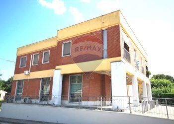 Negozio Ospitalmonacale, Argenta, Argenta - foto 3