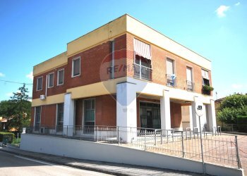 Negozio Ospitalmonacale, Argenta, Argenta - foto 4