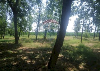 Casale Via Pioppa, 14/16 
 Disvetro, Cavezzo - foto 13