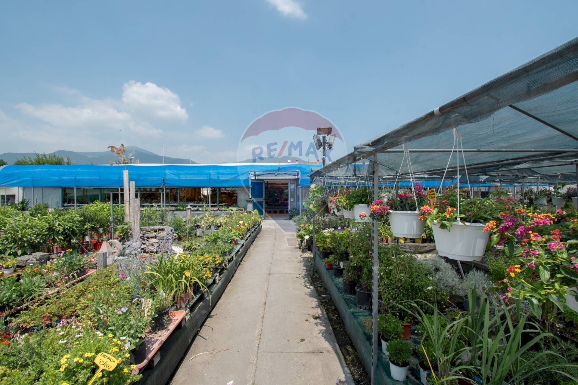 Azienda agricola Via Vecchia, SNC 
 Iseo, Iseo - foto 1