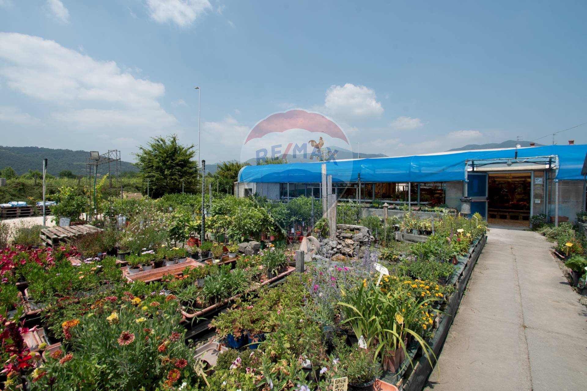 Azienda agricola Via Vecchia, SNC
Iseo, Iseo - foto 2