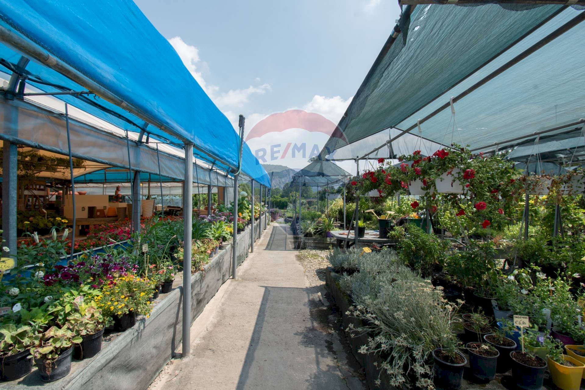 Azienda agricola Via Vecchia, SNC
Iseo, Iseo - foto 3