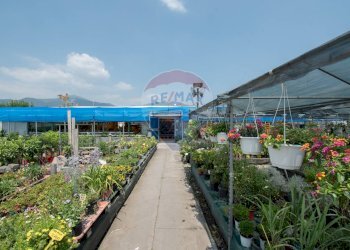Azienda agricola Via Vecchia, SNC 
 Iseo, Iseo - foto 1