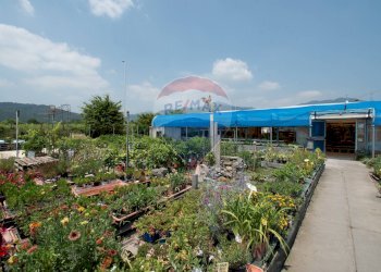 Azienda agricola Via Vecchia, SNC 
 Iseo, Iseo - foto 2