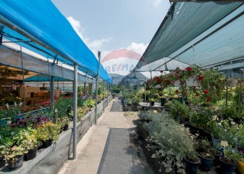 Azienda agricola Via Vecchia, SNC 
 Iseo, Iseo - foto 3
