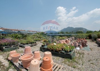 Azienda agricola Via Vecchia, SNC 
 Iseo, Iseo - foto 4