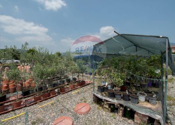 Azienda agricola Via Vecchia, SNC 
 Iseo, Iseo - foto 6