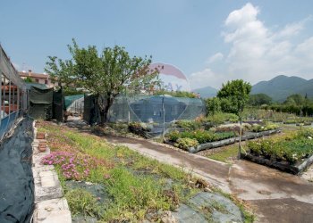 Azienda agricola Via Vecchia, SNC 
 Iseo, Iseo - foto 8