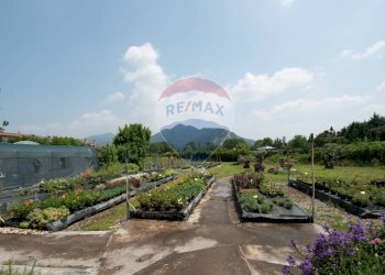 Azienda agricola Via Vecchia, SNC 
 Iseo, Iseo - foto 9