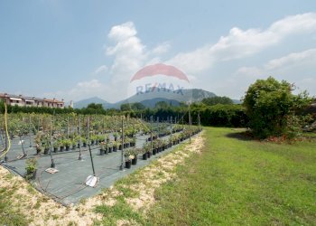 Azienda agricola Via Vecchia, SNC 
 Iseo, Iseo - foto 10