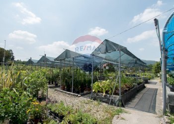 Azienda agricola Via Vecchia, SNC 
 Iseo, Iseo - foto 11