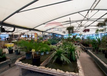Azienda agricola Via Vecchia, SNC 
 Iseo, Iseo - foto 14