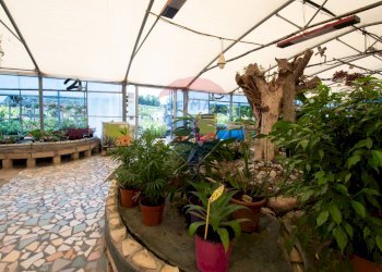 Azienda agricola Via Vecchia, SNC 
 Iseo, Iseo - foto 15