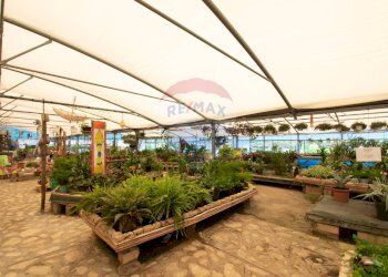 Azienda agricola Via Vecchia, SNC 
 Iseo, Iseo - foto 17