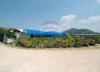 Azienda agricola Via Vecchia, SNC 
 Iseo, Iseo - foto 21