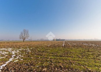 Rustico Str. dei Finigialdi, Chieri - foto 16