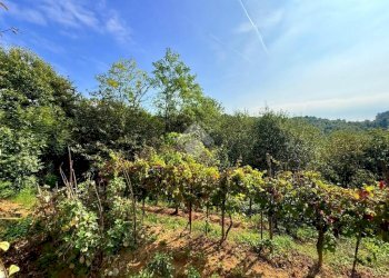 Casa indipendente Via Bastiglia, Borgiallo - foto 22