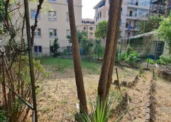 Appartamento Savona, Savona (zona Villetta) - foto 10