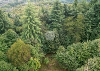 Rustico Via Giala, Barge - foto 5