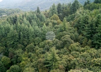 Rustico Via Giala, Barge - foto 6