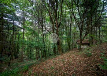 Rustico Via Giala, Barge - foto 7