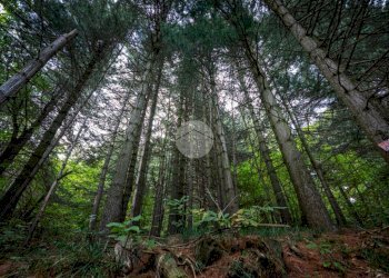 Rustico Via Giala, Barge - foto 15