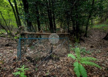 Rustico Via Giala, Barge - foto 17