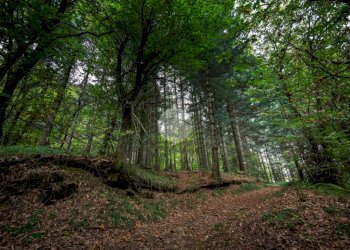 Rustico Via Giala, Barge - foto 18