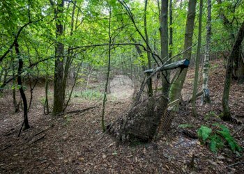 Rustico Via Giala, Barge - foto 20