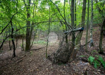 Rustico Via Giala, Barge - foto 22