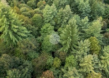 Rustico Via Giala, Barge - foto 23